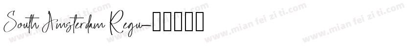 South Amsterdam Regu字体转换